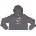 womens-cropped-hoodie-storm-front-619b8e7b17fb3.jpg